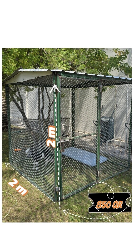 Cage 4/4 - 2
