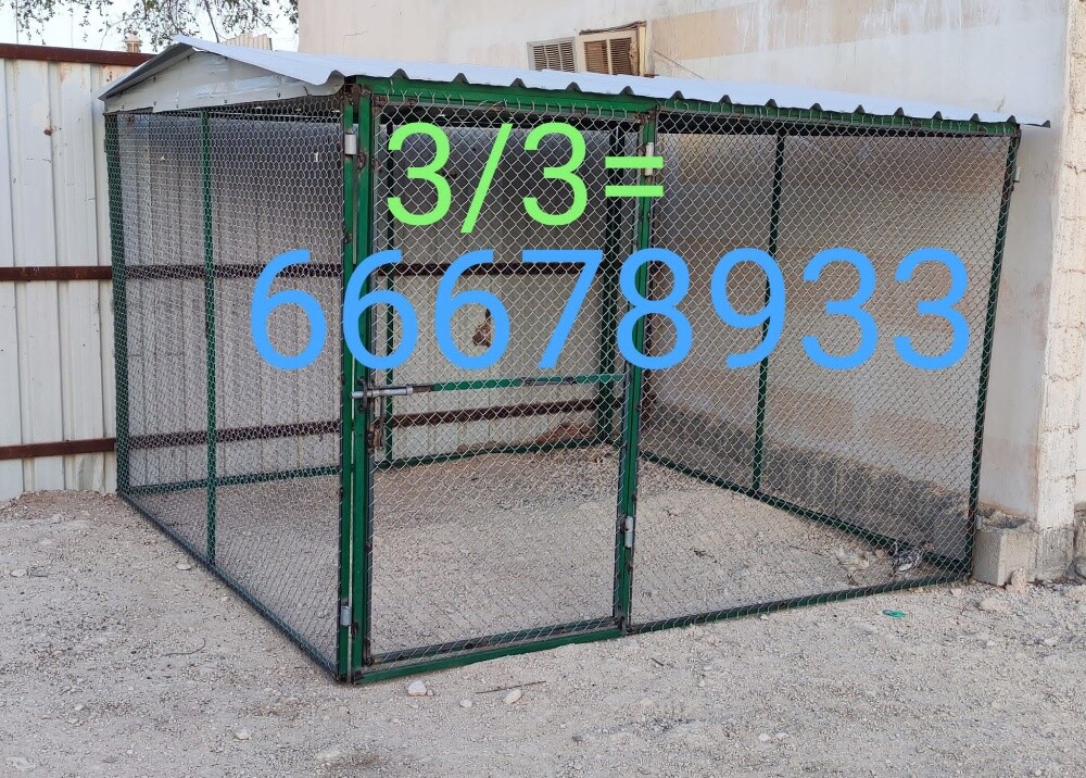 3/3=قفص - 4