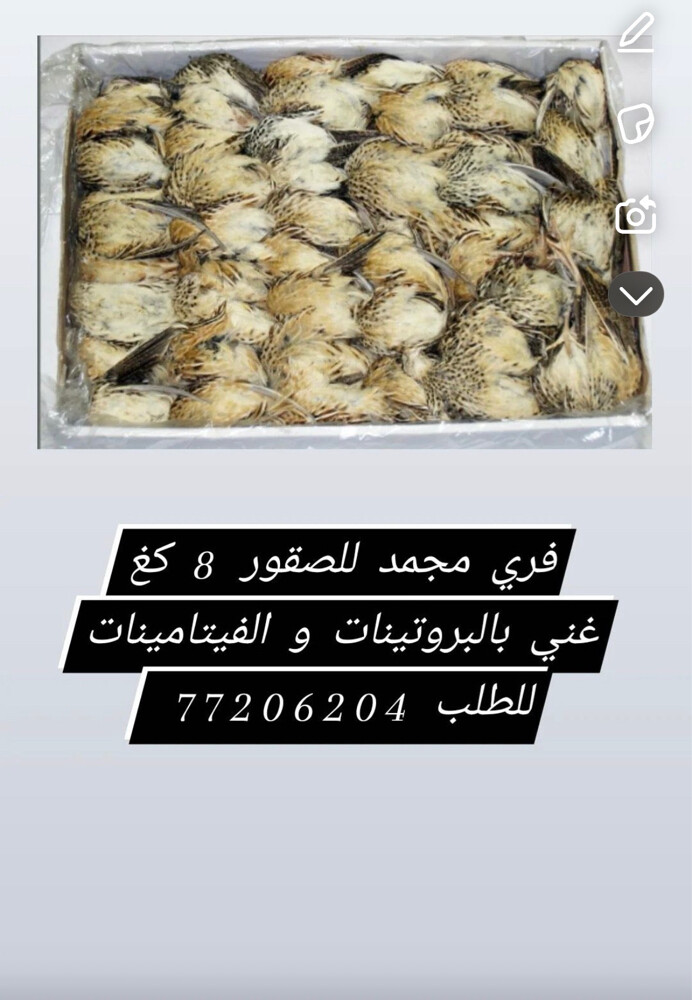 صوص و فري مجمد - 2