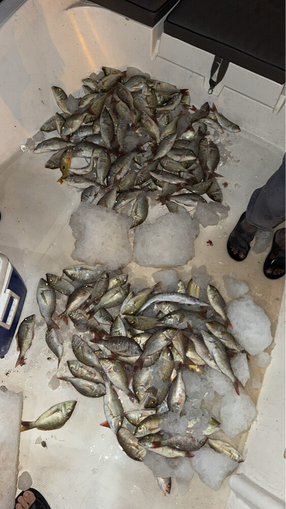 طلعات حداق  - 2