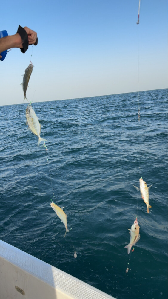 طلعات حداق  - 8