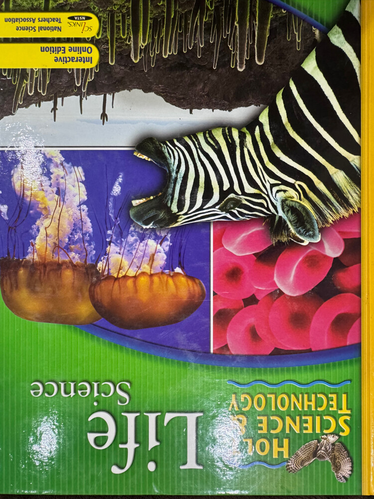 books - 12
