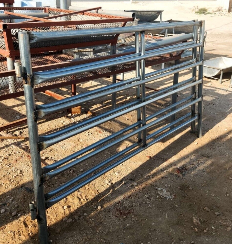 ماعز وشبكة ماعز - 4