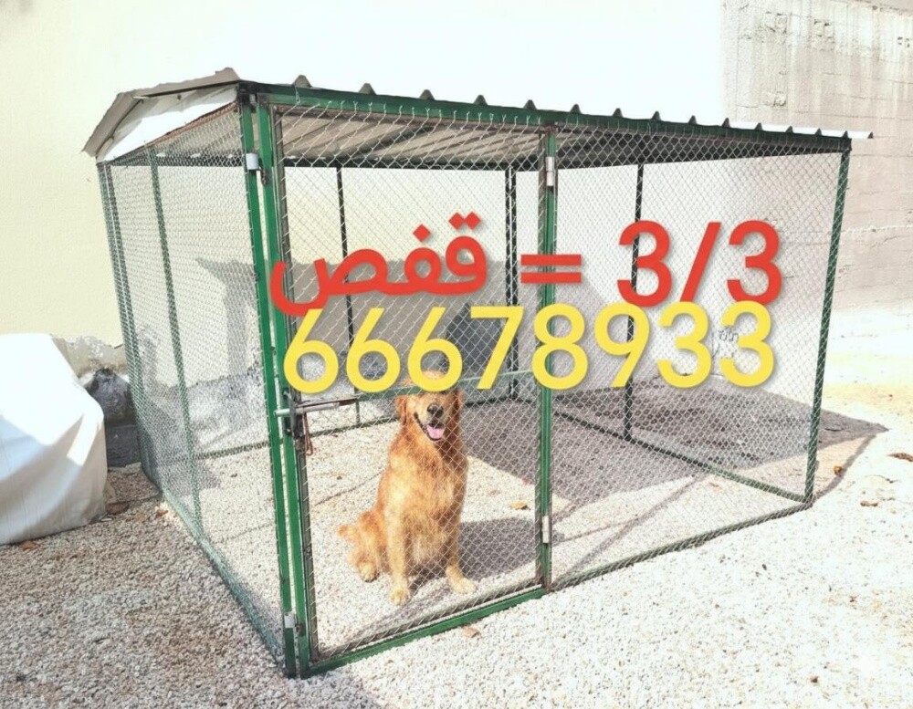 2/2=الكلاب - 4