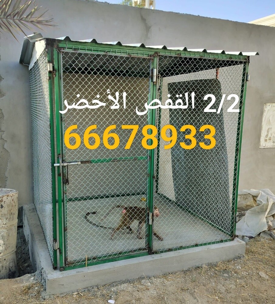 2/2=الكلاب - 2