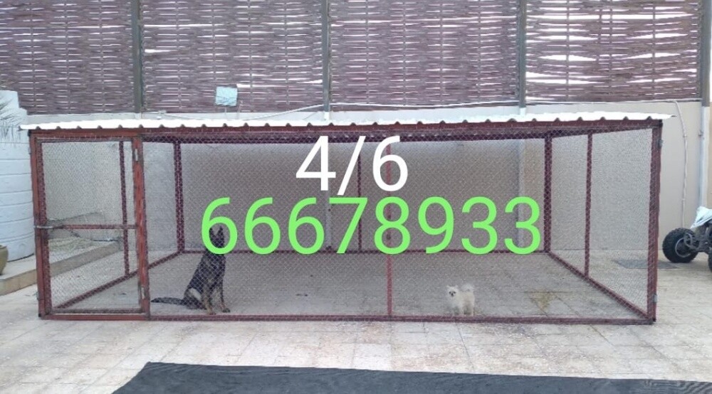 2/2=الكلاب - 3