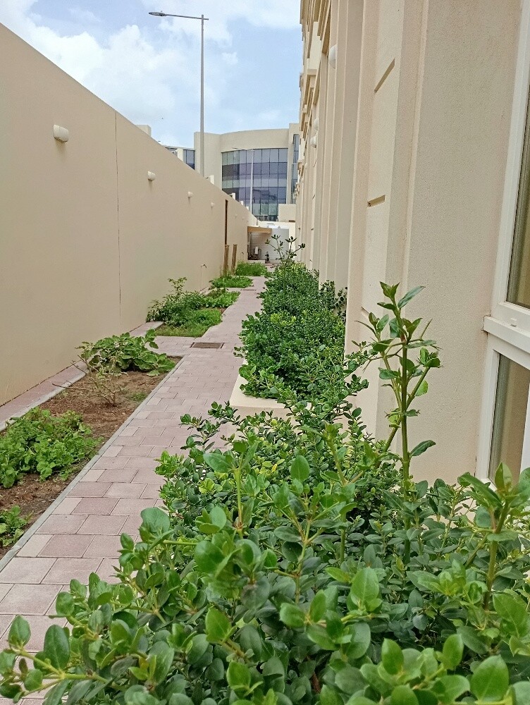 البستاني - 6