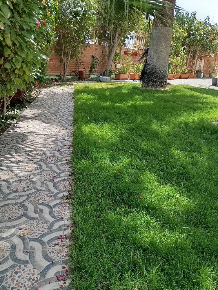 البستاني - 2