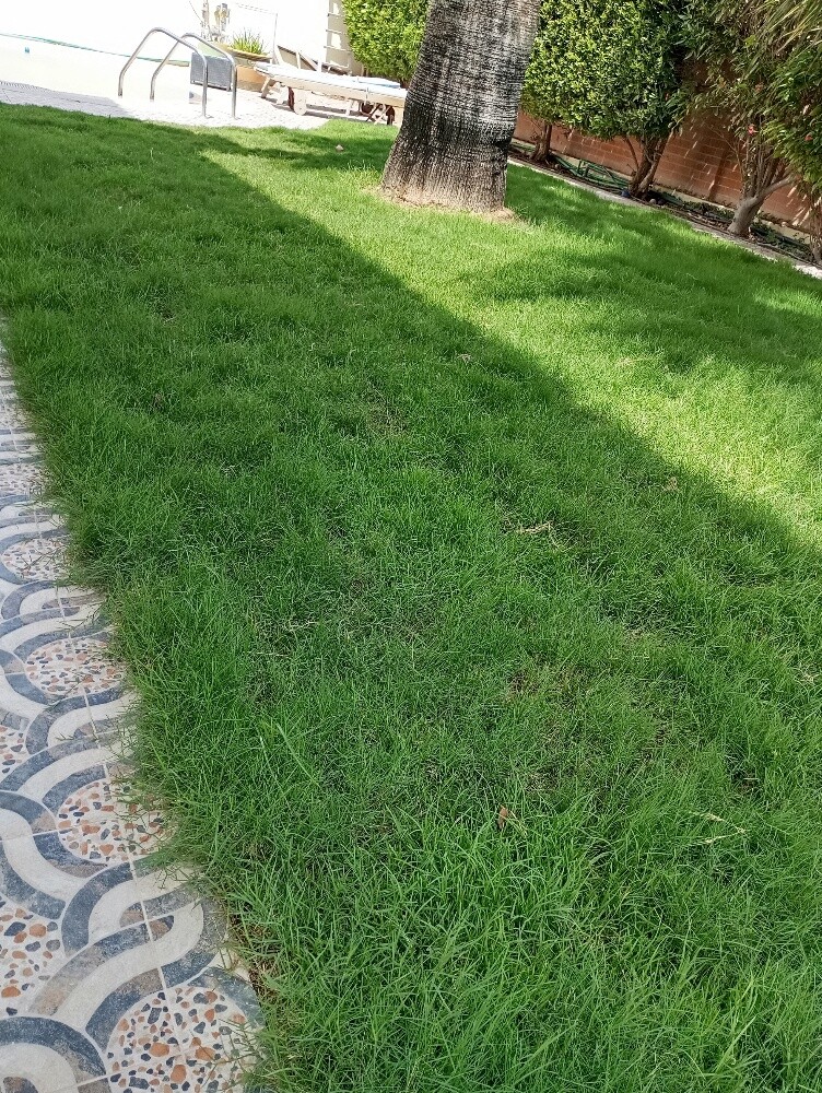 البستاني - 3