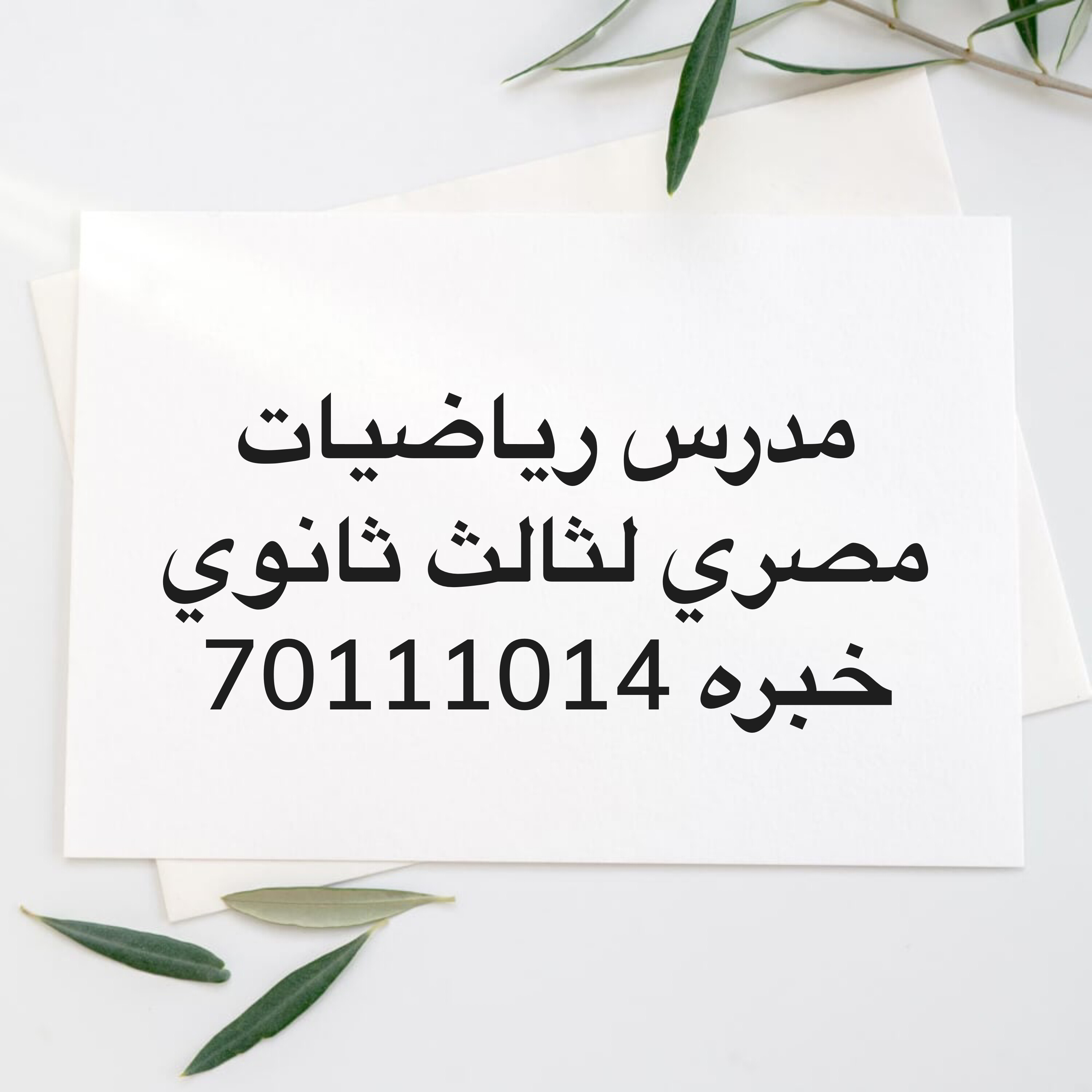 مدرس رياضيات صف 12 متخصص - 1