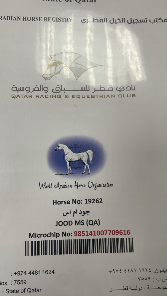 مهره واهو جمال  - 2