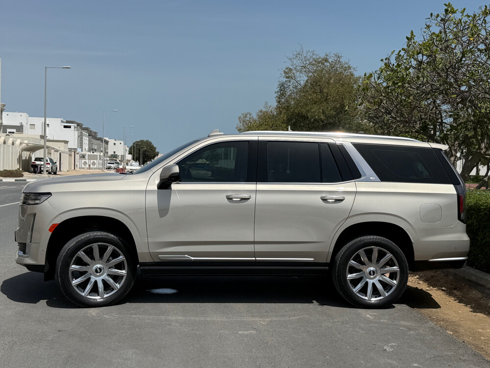 Cadillac Escalade 600 - 5