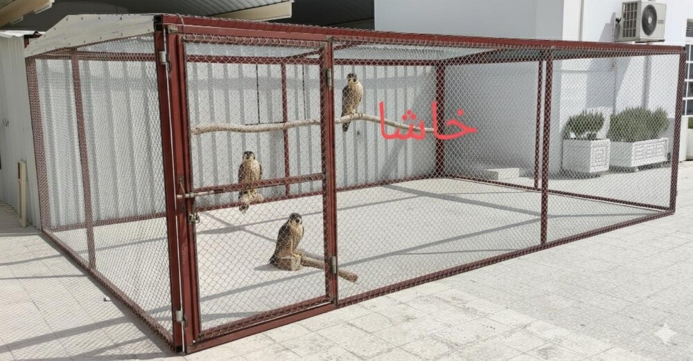 6/4=قفص - 2