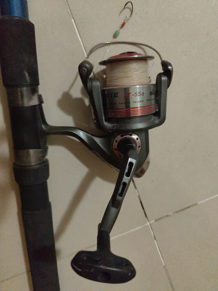 fishing rod - 2