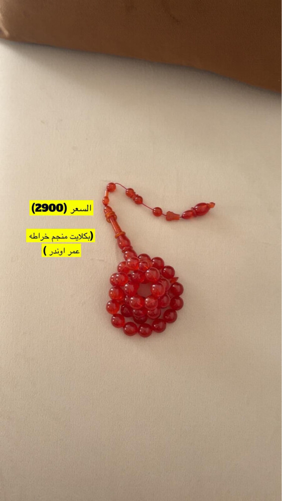 محمد الشرشني  - 1
