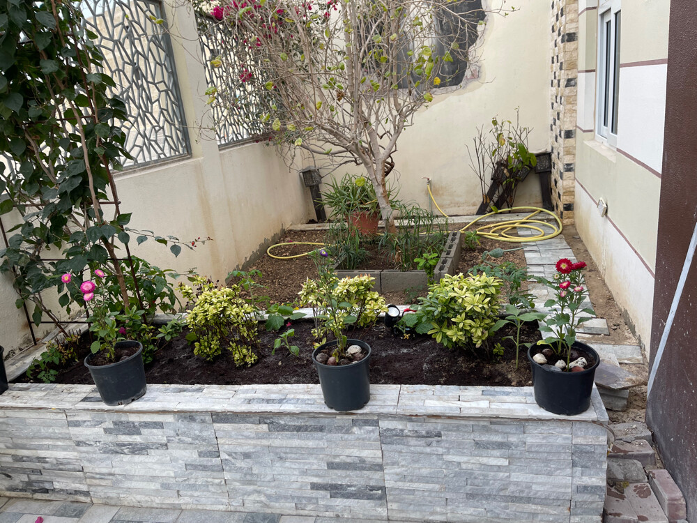 Albaloshi gardener  - 25