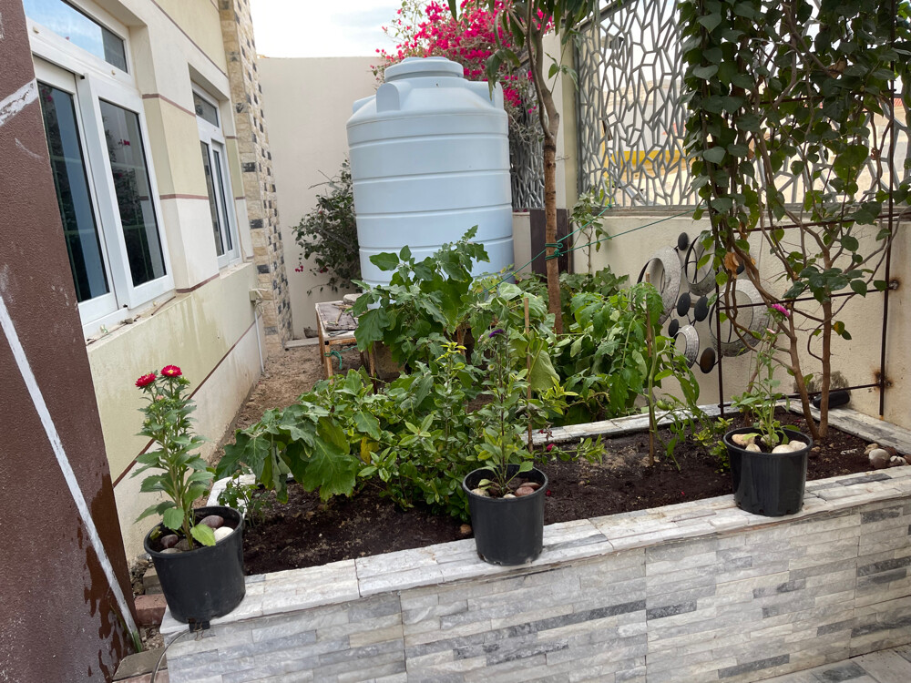 Albaloshi gardener  - 23