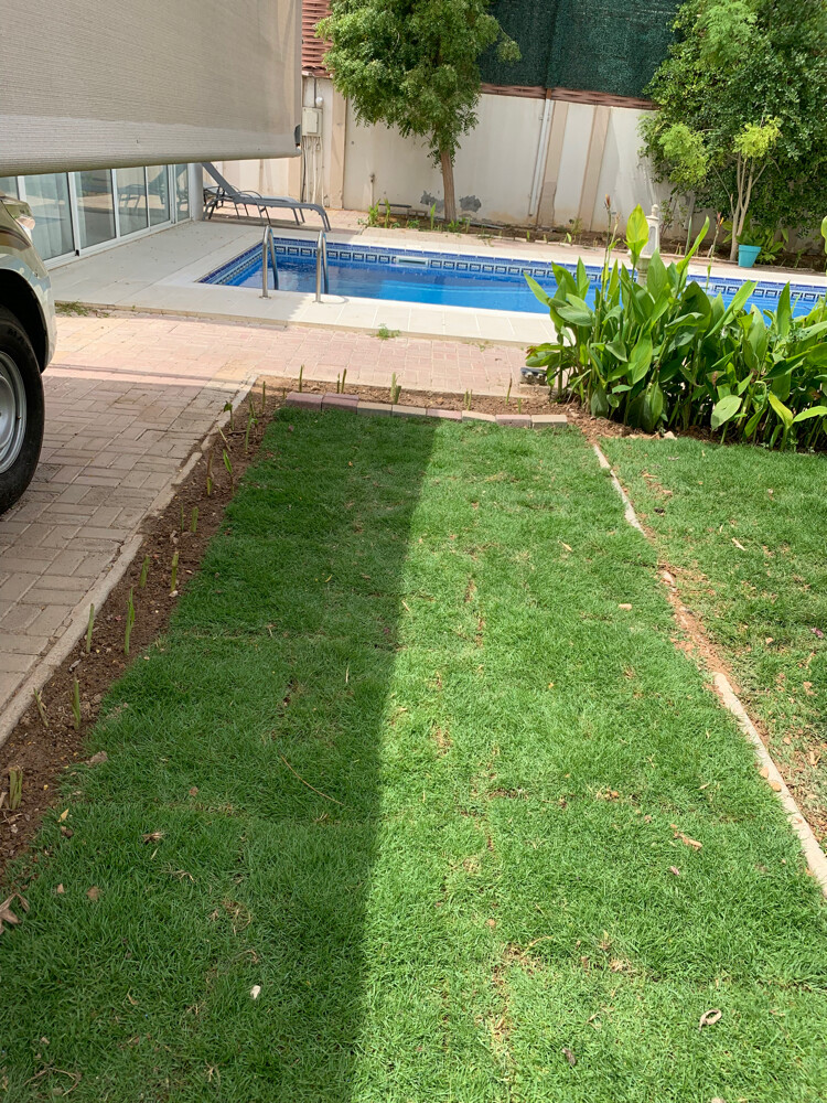 Albaloshi gardener  - 3