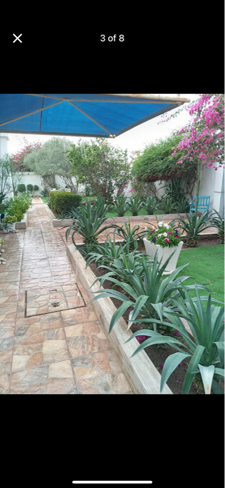 Albaloshi gardener  - 15