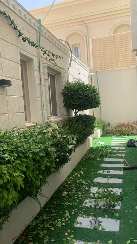 Albaloshi gardener  - 8