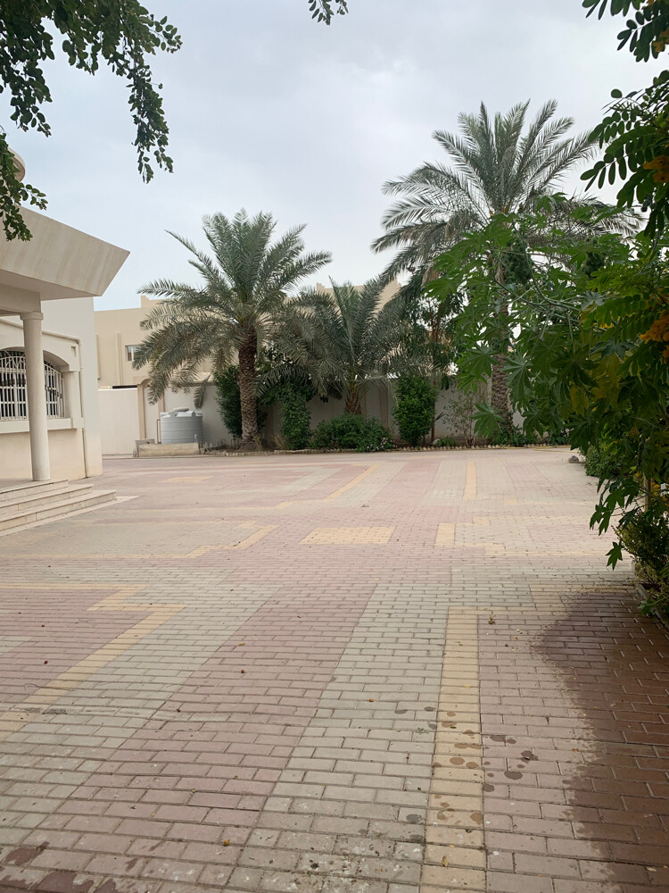 Albaloshi gardener  - 21