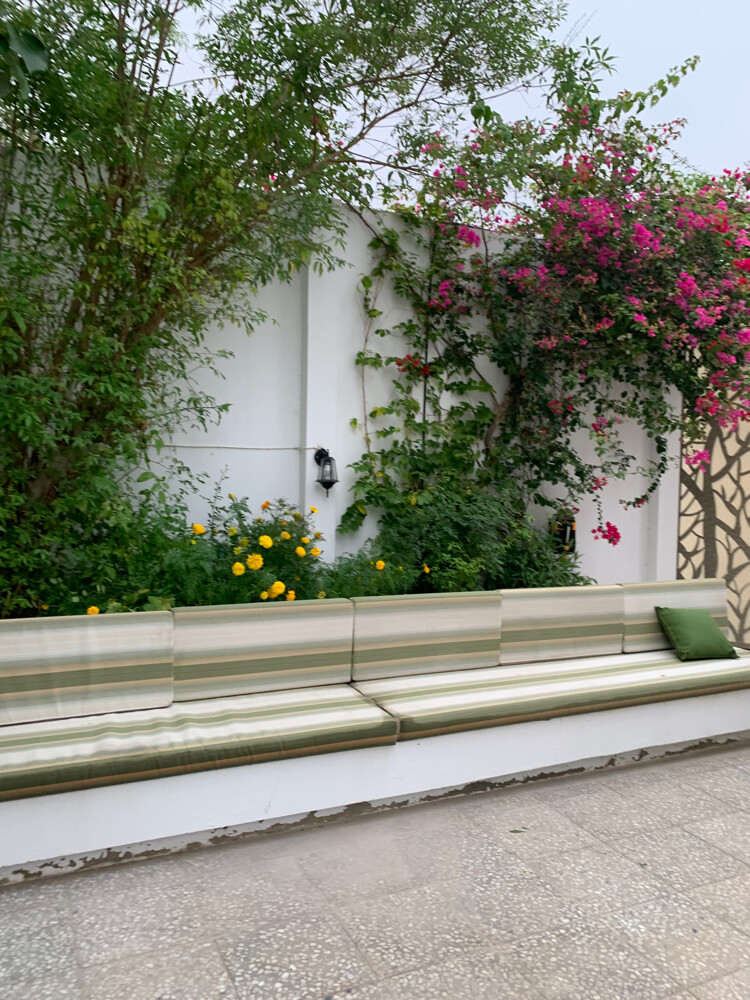 Albaloshi gardener  - 12