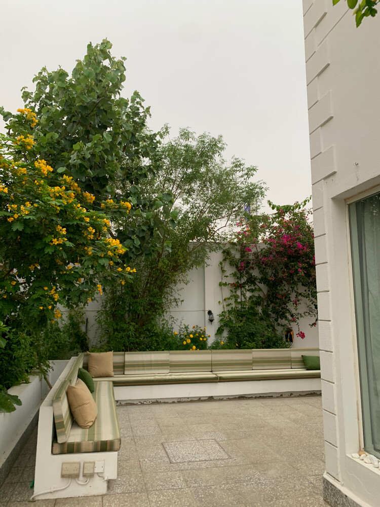 Albaloshi gardener  - 13