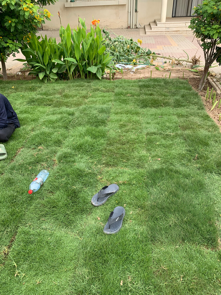 Albaloshi gardener  - 10