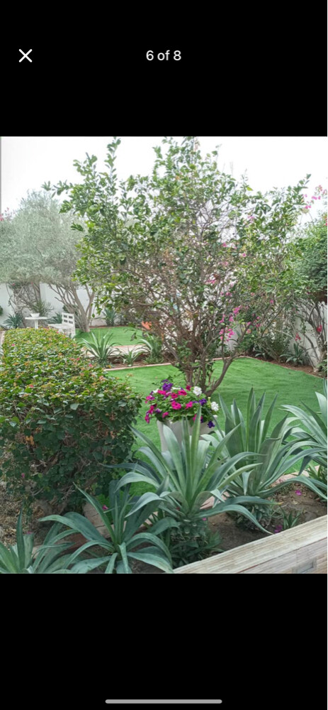 Albaloshi gardener  - 17