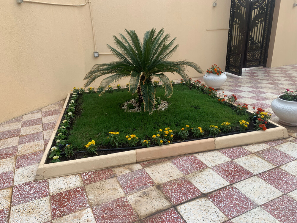 Albaloshi gardener  - 16