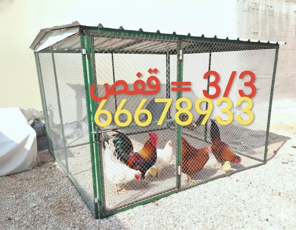 3/3=قفص - 1