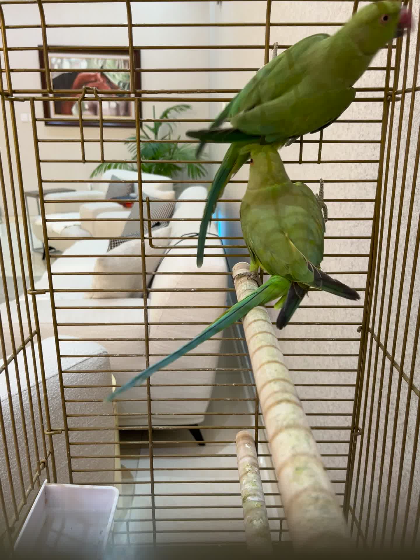 for sale  - 3