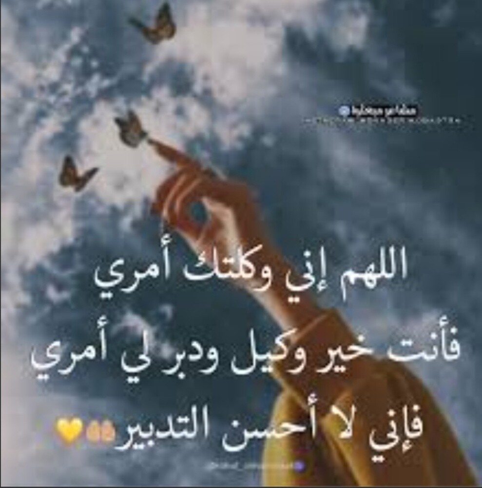 بحث عن العمل - 1