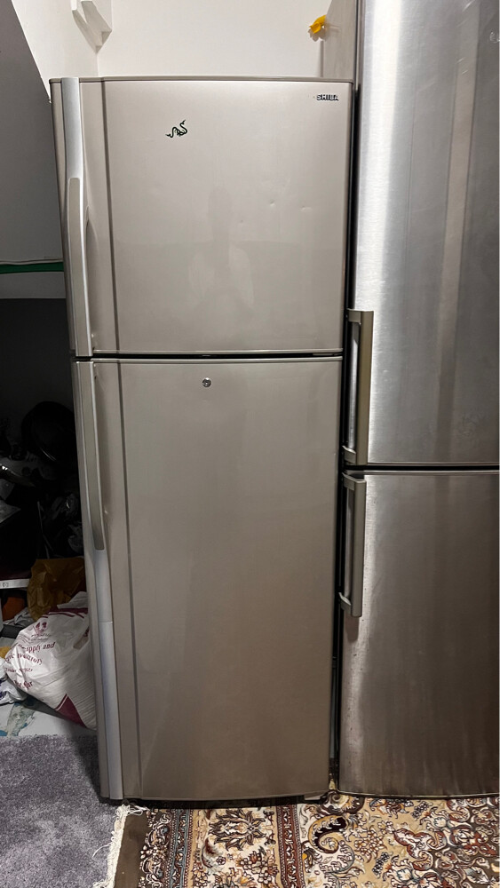 Shiba Refrigerator - 1