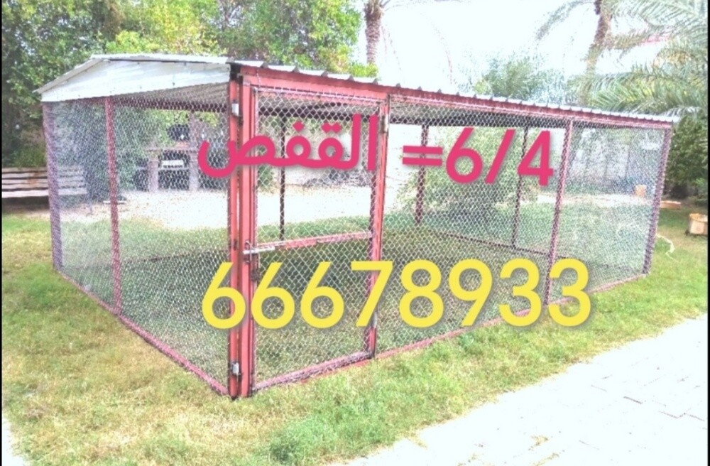 6/4=قفص حمام - 1