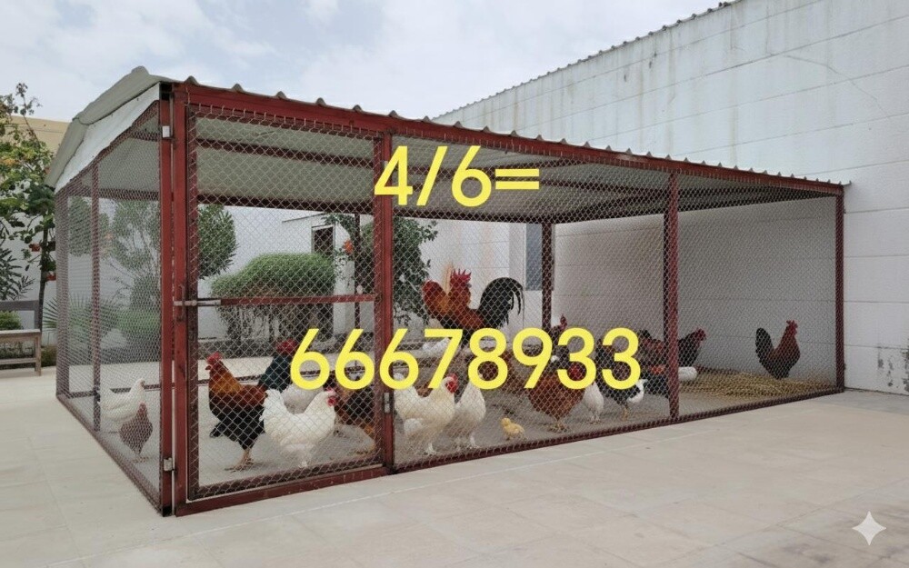 6/4=قفص حمام - 2