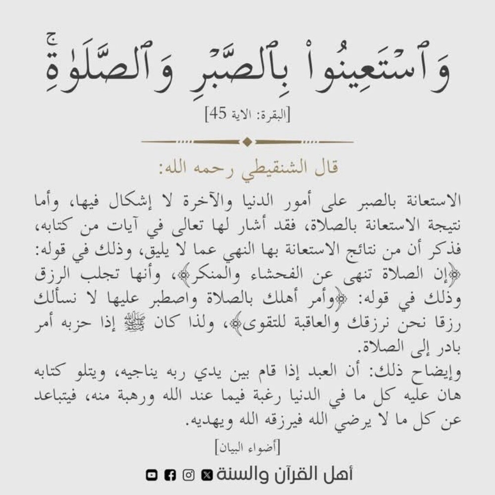 عامر محمد - 2