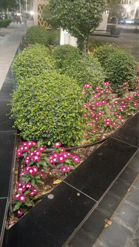 Gardening Services  - 2