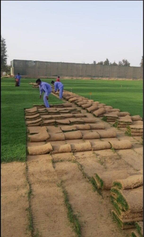 زراعه وديكور حدائق - 3