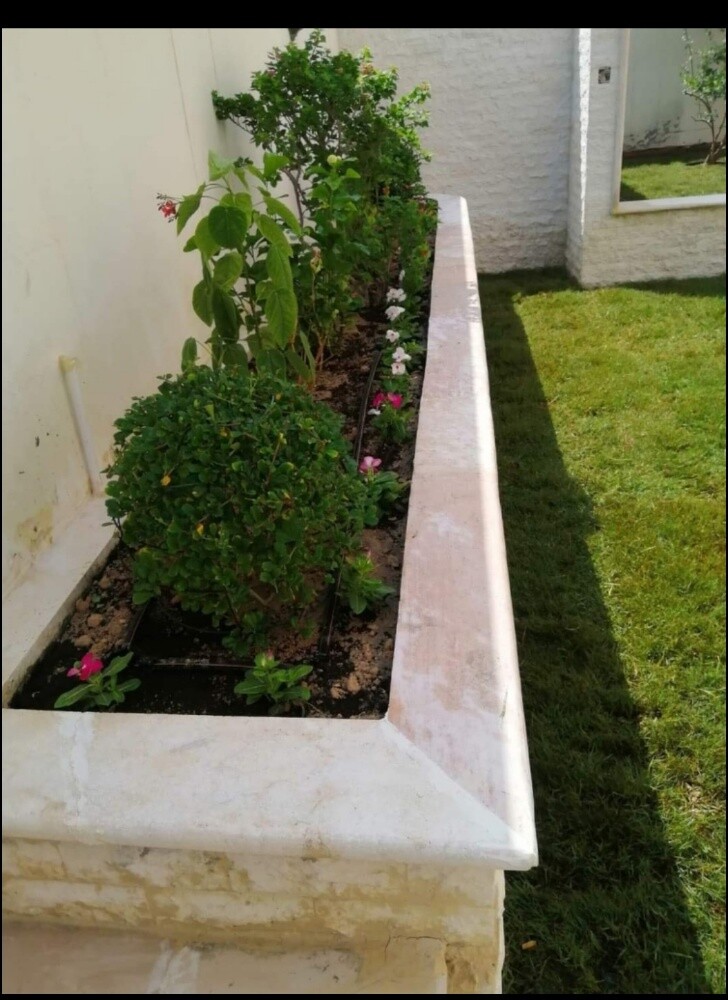 زراعه وديكور حدائق - 5