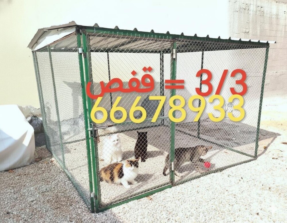 3/3=قفص - 2