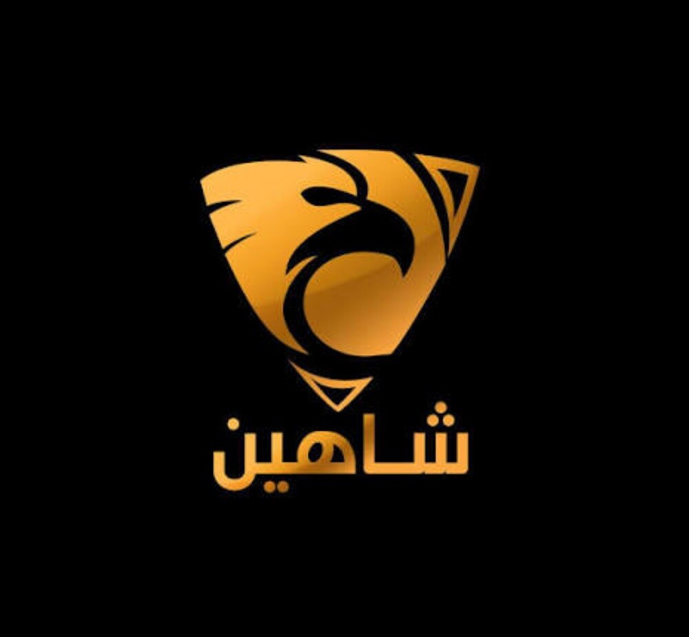 شركة الشاهين للمقاولات - 1