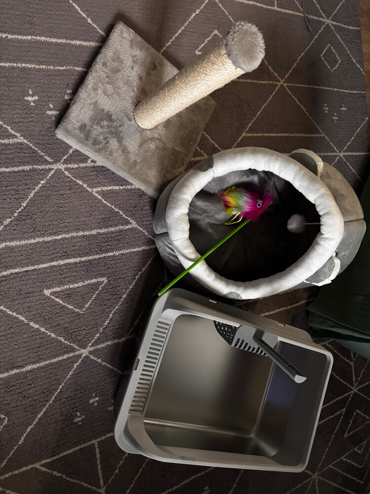 cat bed and litter and scrachpost - 1