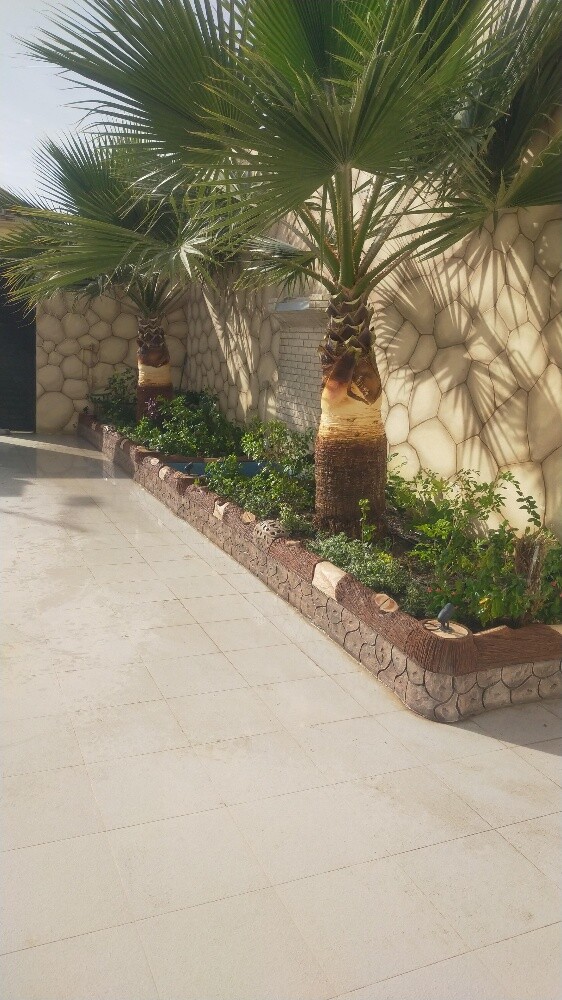 ابو عبدالرحمن - 3