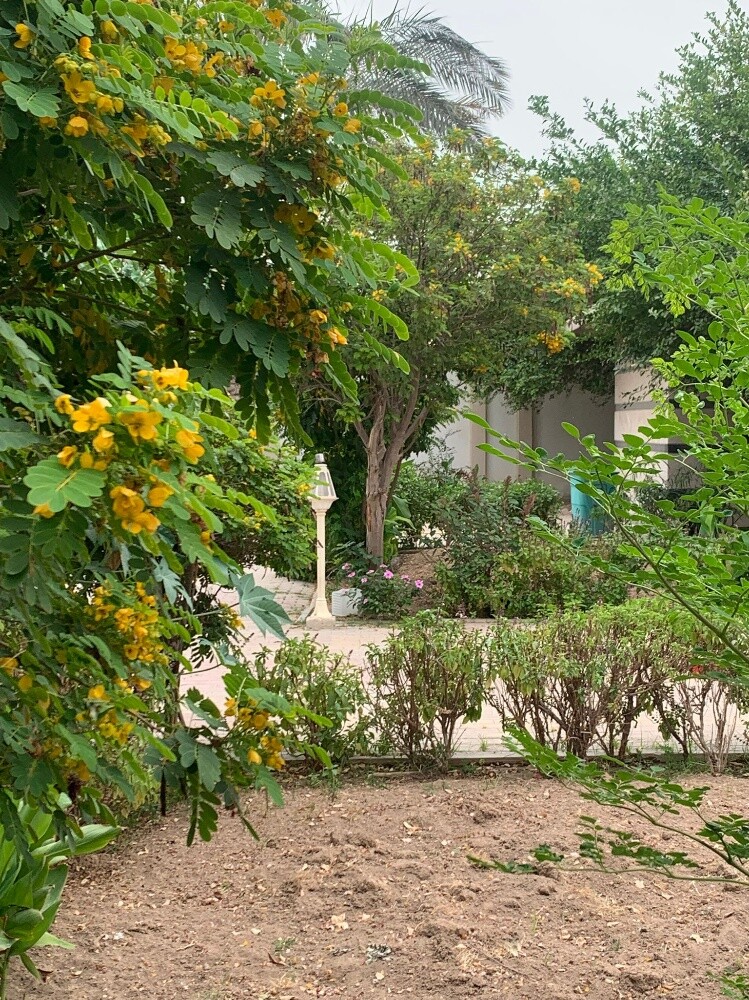 غني البلوشي - 14