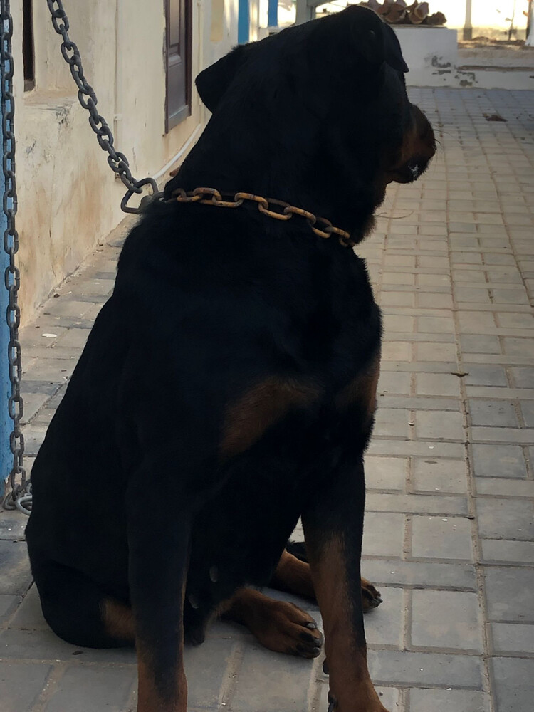 روت رويلر  - 5