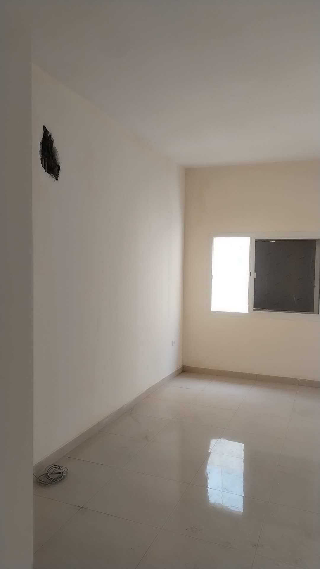 صباغ للفلل والبيوت - 7