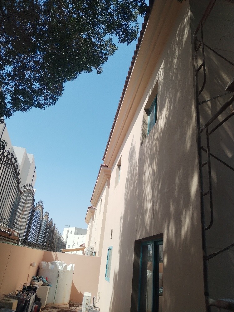 صباغ للفلل والبيوت - 4