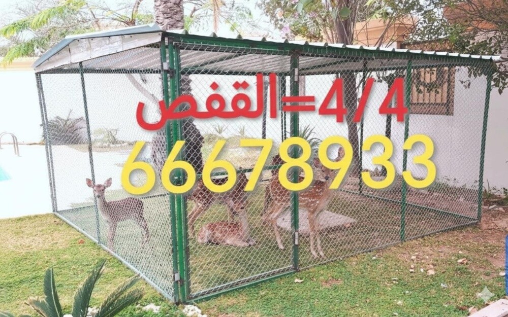 4/4=قفص جاهز - 1