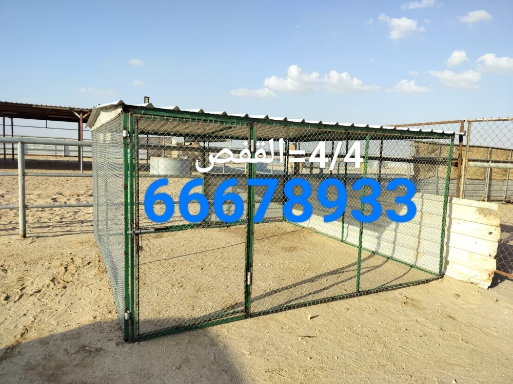 4/4=قفص جاهز - 3
